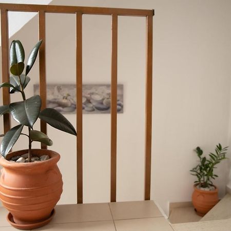 Nikorina Apts Lefkáda Esterno foto