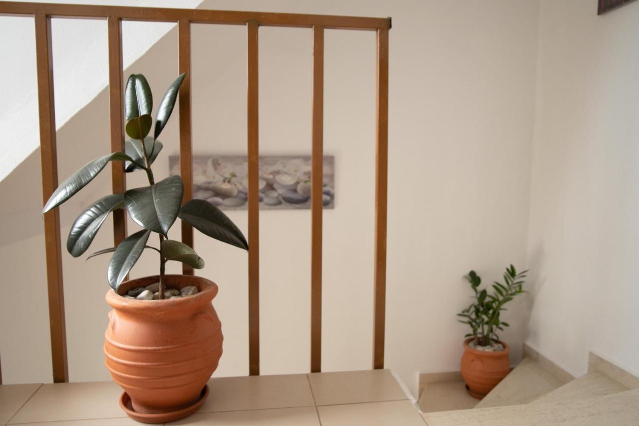Nikorina Apts Lefkáda Esterno foto